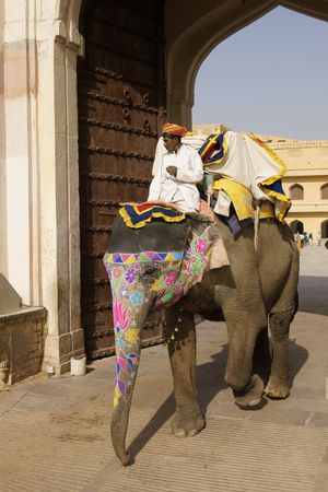 Jaipur, India - March 10, 2009: Mahout riding a decorated elephant at Amber Fort in Jaipur, India.のeditorial素材