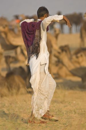 Pushkar, Rajasthan, India - November 5, 2008: Camel herder at the Pushkar Fair in Rajasthan, Indiaのeditorial素材