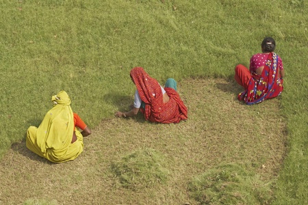 Agra, India - April 6, 2009: Group of unidentified Indian woman cut grass by hand at the Taj Mahal in Agra, Uttar pradesh, India.のeditorial素材
