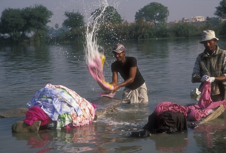 Lucknow, Uttar Pradesh, India - December 6, 2006: Indian dhobi wallah in action washing clothes in the river at Lucknow, Uttar Pradesh, India.のeditorial素材