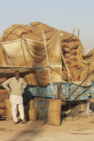 Nagaur, Rajasthan, India - February 15, 2008: Man standing by a trailer filled with sacks of chillies at one of India's largest chili market at Nagaur, Rajasthanのeditorial素材