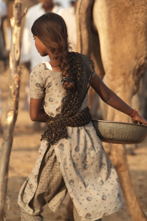 Pushkar, Rajasthan, India - November 19, 2007: Girl collecting camel dung for use as fuel at the annual Pushkar Camel Fair in Rajasthan, Indiaのeditorial素材