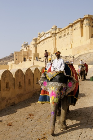 Jaipur, India - March 10, 2009: Decorated elephant descend from Amber Fort in Jaipur, Rajasthan, India.のeditorial素材