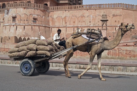 Bikaner, India - July 18, 2007: Camel cart loaded with sacks passing Junagarh Fort in Bikaner, Indiaのeditorial素材