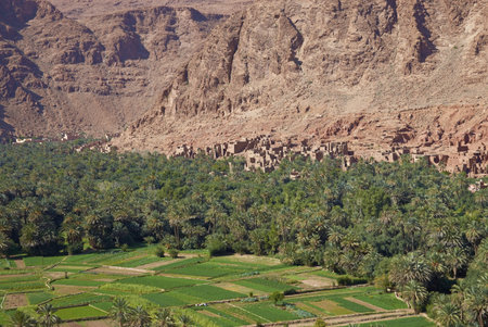 Traditional Berber village and cultivated fields along a river valley in the foothills of the Atlas...