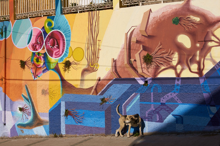 Valparaiso, Chile - May 6, 2014  Colourful murals decorating the streets of the world heritage city of Valparaiso in Chileのeditorial素材