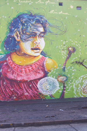 Santiago, Chile - June 13, 2014  Colourful murals adorning the walls of tenement blocks in the San Miguel area of Santiago, capital of Chile  The area was created as an open air museum in what was a run down area of the city のeditorial素材