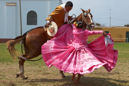 Trujillo, Peru - September 1, 2014: Lady in pink dress dancing a traditional folk dance with a Peruvian Paso horse in Trujillo, Peruのeditorial素材