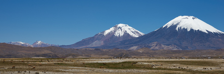 Snow and ice covered peaks of the volcanoes Parinacota (6342m) and Pomerape (6240m), tower above the altiplano in Lauca National Park, northern Chile.の写真素材