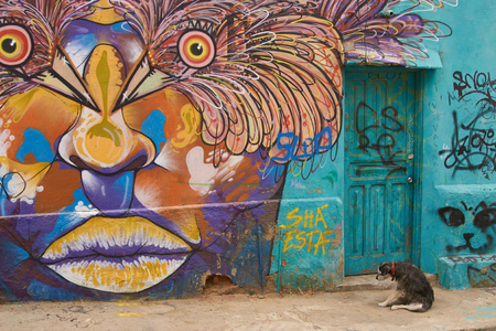 Valparaiso, Chile - October 23, 2014: Colourful murals decorating buildings in the coastal city of Valparaiso in Chile.のeditorial素材