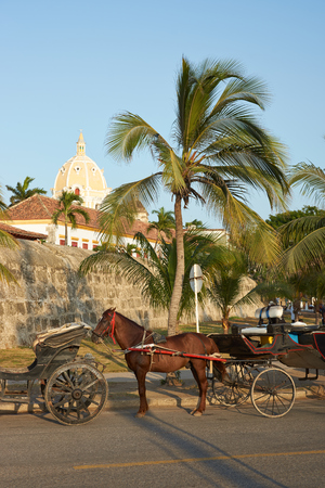 Horse drawn carriages used by tourists waiting alongside the fortified walls of the historic Spanish colonial city of Cartagena de Indias in Colombiaのeditorial素材
