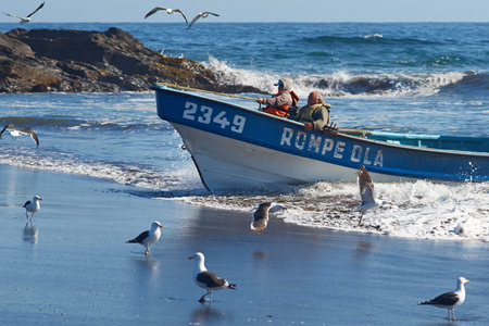 Curanipe Chile  April 22 2015: Fishing boat coming ashore on the sandy beach in the fishing village of Curanipe Chile. Once the boats are beached on the sand a tractor is used to pull the boats to safer ground.のeditorial素材