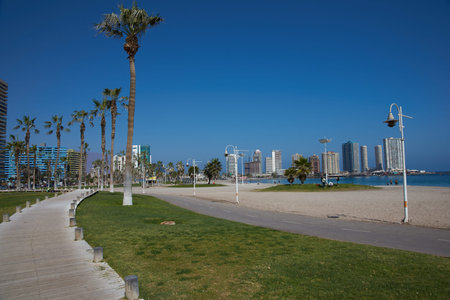 IQUIQUE, CHILE - JULY 7, 2015: Walkway and palm trees along Cavancha Beach in Iquique, northern Chile.のeditorial素材