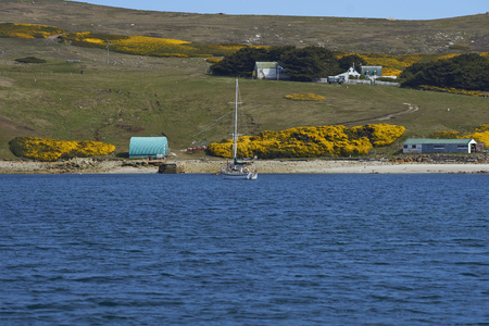 Colourfully painted buildings at the West Point Settlement on West Point Island in the Falkland Islandsの写真素材