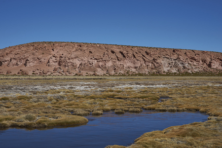 Wetland along a tributary of the River Lauca high on the Altiplano of northern Chile in Lauca National Park.の写真素材