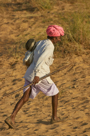 Pushkar, Rajasthan, India - November 7, 2008: Camel herder arriving at the annual Pushkar Fair in Rajasthan, India.のeditorial素材