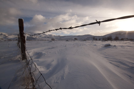 A snowy winter morning plain - countryside snow outdoor scene freezing