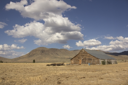 Old barn in a very large field - Loyalton California USAの写真素材