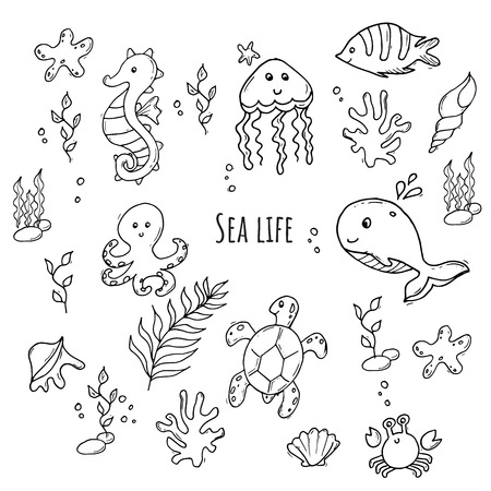 Monochrome set of various sea creatures. Cartoon fish, seahorse, crab, jellyfish, octopus, whale and shells. Black and whiteのイラスト素材