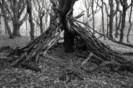 Black and white tree hutの写真素材
