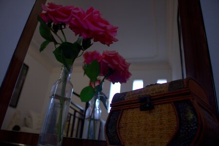 flowers in a houseの写真素材