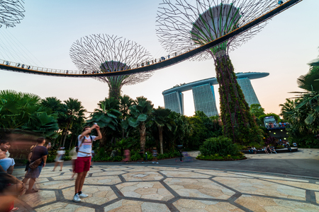 South East Asia, Singapore Famous destinations Garden By The Bay tourism travel tourist attraction Supertree Grove during blue & golden hour human taking photos & selfieのeditorial素材