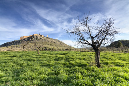 Outlined on a hilltop are the ruins of the Castle of Xiquena in Lorca, Murcia, Spainの写真素材