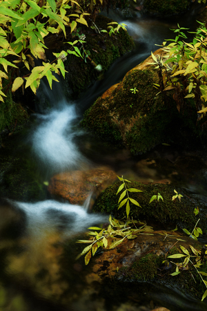Cascade falls over mossy rocks at Nacimiento del Rio Mundo in Riopar, Albacete, Spainの写真素材