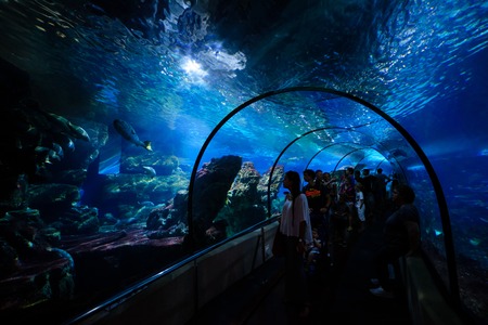 BARCELONA, SPAIN - AUGUST 16: Aquarium tunnel in Barcelona on August 16, 2016 in Barcelona, Spainのeditorial素材