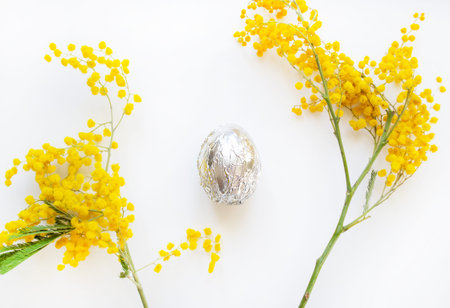 Easter egg in silver foil with sprigs of willow on a white background.