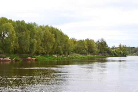 Overflow river in the spring and the emergence of water from the banks. Water approached the shore...