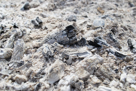 Ash from a campfire natural background texture.