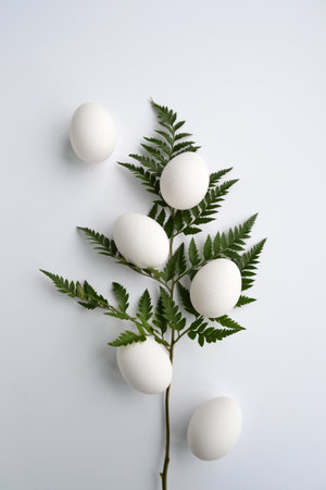 White chicken eggs on a green fern branch on a white background. easter cardの写真素材