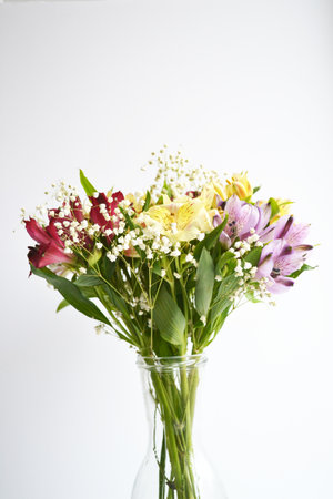 Alstroemeria flowers in vase isolated on whiteの写真素材