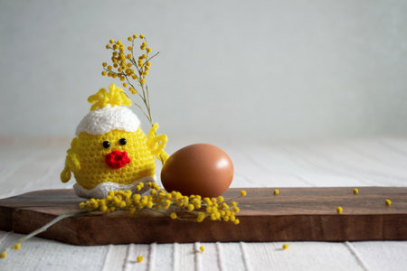 Crocheted yellow mimosa cyprin and a chicken egg on a light background.の写真素材