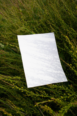 Mockup of white A4 sheet in field green plants.の写真素材