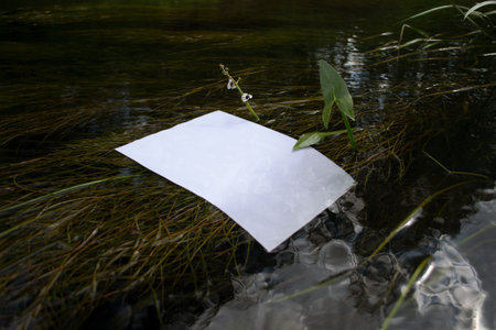 Mockup of a poster in a river with algae. White blank with copy space in waterの写真素材
