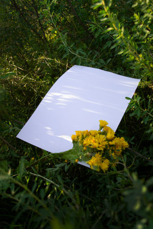 Mockup of a white A4 sheet on a green plant background with yellow flowering plants.