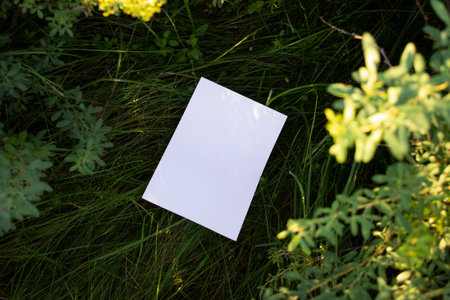 Mockup of white A4 sheet on green grass with blurred branches from a bush in the foreground.の写真素材