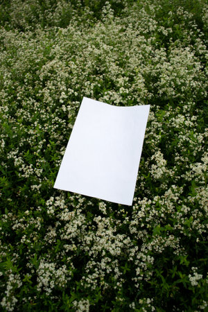 Mockup of sheet on a glade studded with white flowers.の写真素材