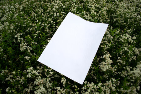 Mockup of sheet on a glade studded with white flowers.の写真素材