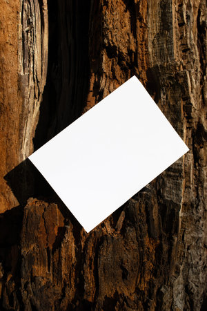 Mockup of A4 sheet of paper on the red bark of a tree trunk. Soft diffuse focus. Poster mockup, letterhead with space for text, presentation templateの写真素材