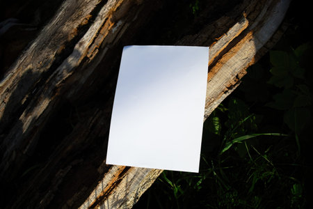 Mockup of a A4 sheet of paper on the red bark of a tree trunk. Soft diffuse focus. Poster mockup,...
