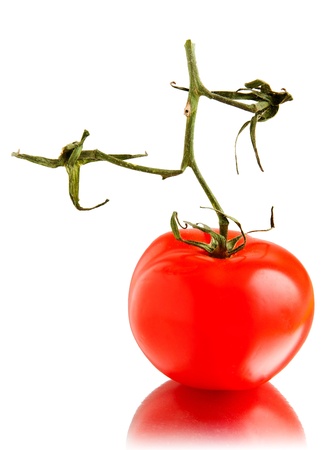 Tomato with stem still attached on countertopの写真素材