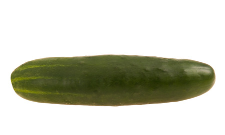 Cucumber fresh out of garden ready for slicingの写真素材