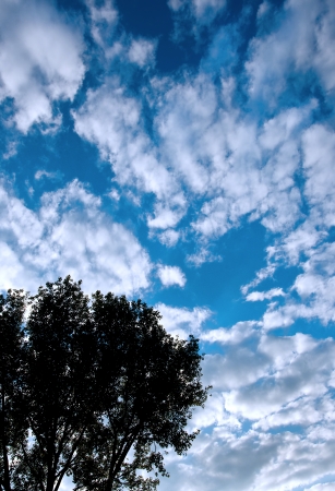 Cloudscape with puffy and whispy cloud patternsの写真素材