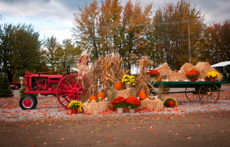 Old tractor as fall harvest decor in yardの写真素材
