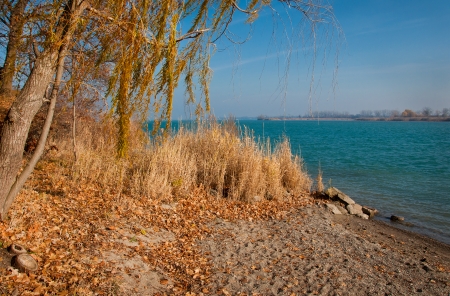 Michigan park along the detroit river in fallの写真素材