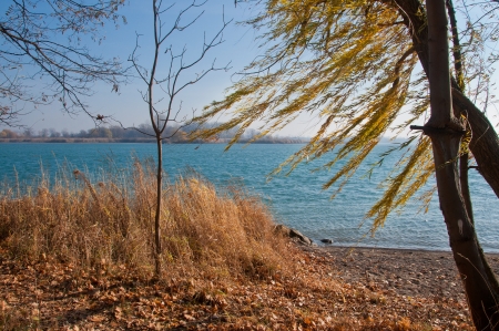 Michigan park along the detroit river in fallの写真素材