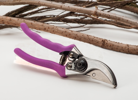 Various size cutters fot trimming tree branchesの写真素材